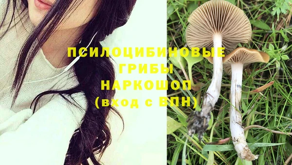 прущая мука Анива