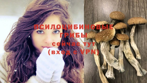 mdma Анжеро-Судженск