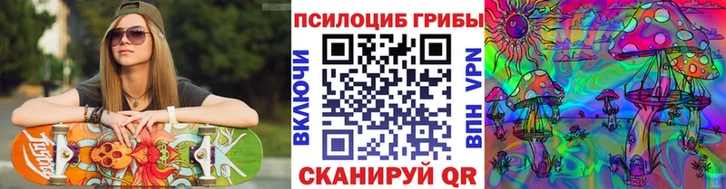 Галлюциногенные грибы Magic Shrooms Вилючинск